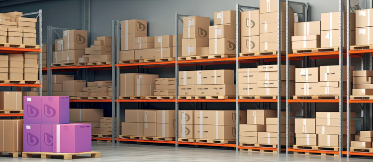 Un stockage optimis&eacute; pour BWT Pool Products