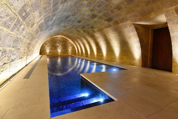 Gold EUSA Award 2020 Domestic Indoor Pool Agretec Carr&eacute; Bleu International 