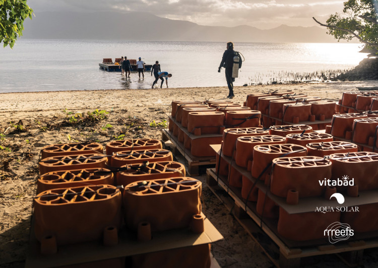rrreefs, programme de reconstruction des r&eacute;cifs coralliens