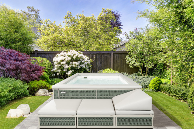 Ninfea Thiny di Piscine Laghetto Ninfea Thiny di Piscine Laghetto