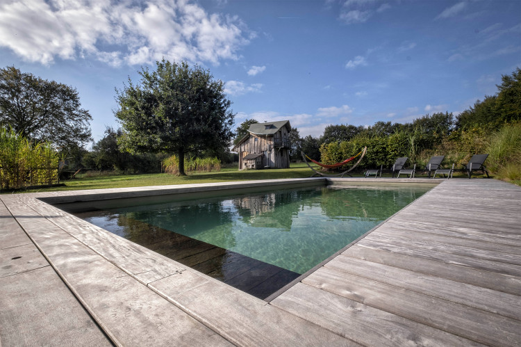Piscine trait&eacute;e par la solution Vitii Ocedis Aquatic Science