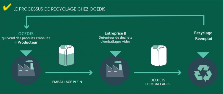Sch&eacute;ma du processus de recyclage des emballages mis en place par Ocedis.