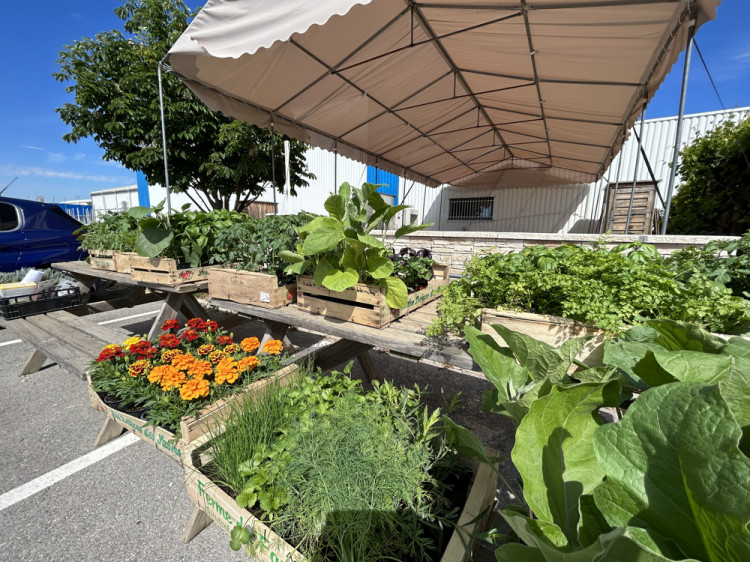 R&eacute;colte du Pooltager