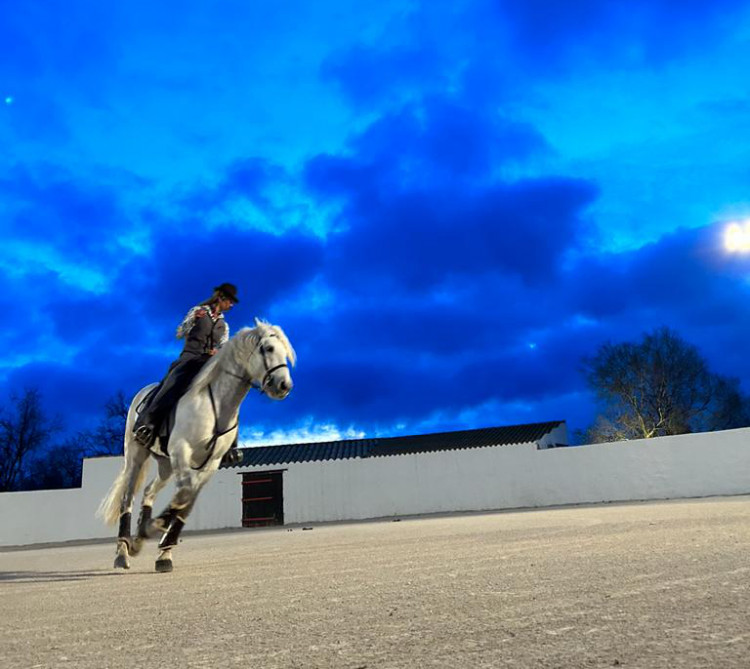 S&eacute;minaire Diffazur en Camargue