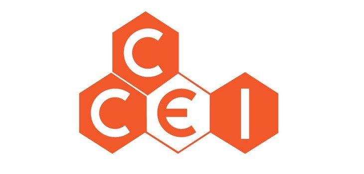 CCEI Espa&ntilde;a piscina
