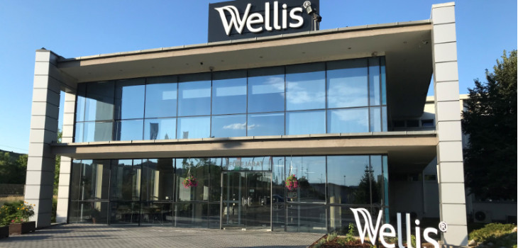 nuevo sitio Wellis &Oacute;zd