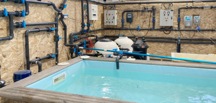 formations,courtes,professionnels,piscine,cfa,morcenx