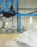 Une 2e unit&eacute; de production op&eacute;rationnelle chez France Piscines Composites 
