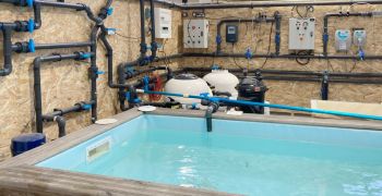 formations,courtes,professionnels,piscine,cfa,morcenx
