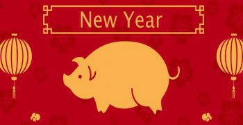 Joyeuse ann&eacute;e du Cochon de terre !