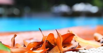 L&rsquo;entretien des piscines d&eacute;sormais &eacute;ligible au cr&eacute;dit d&rsquo;imp&ocirc;t