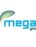 Nouvel investisseur pour MegaGroup Holding