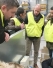 Succ&egrave;s des premiers Technical Days organis&eacute;s par DEL CLASS CEC, CHEMOFORM et AQUALUX !