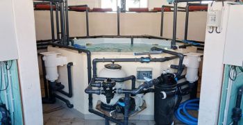 Titre Pro TIMP et formation QUALIPAC &agrave; l'AFPA B&eacute;ziers