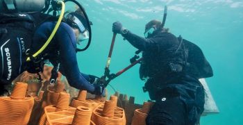 Vita Bad und Aqua Solar unterst&uuml;tzen das rrreefs-Programm