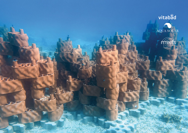 Une for&ecirc;t tropicale sous-marine est en cours de cr&eacute;ation - reconstruction d'un r&eacute;cif par rrreefs, soutenu par Vita Bad et Aqua Solar