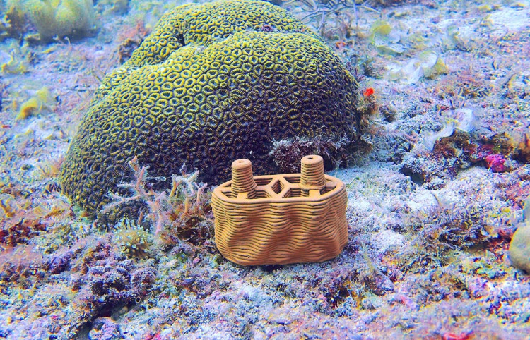 Zukunftsweisender Baustein-hier rekonstruiert man ein Korallenriff mit Hilfe von rrreefs, Vita Bad und Aqua Solar