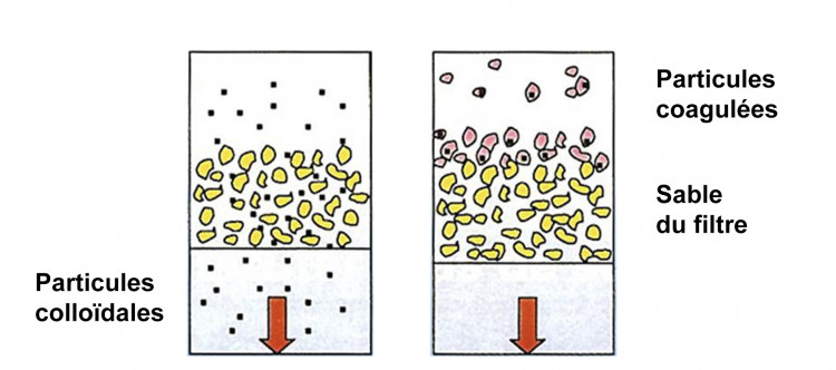 sch&eacute;ma floculation et sans floculant