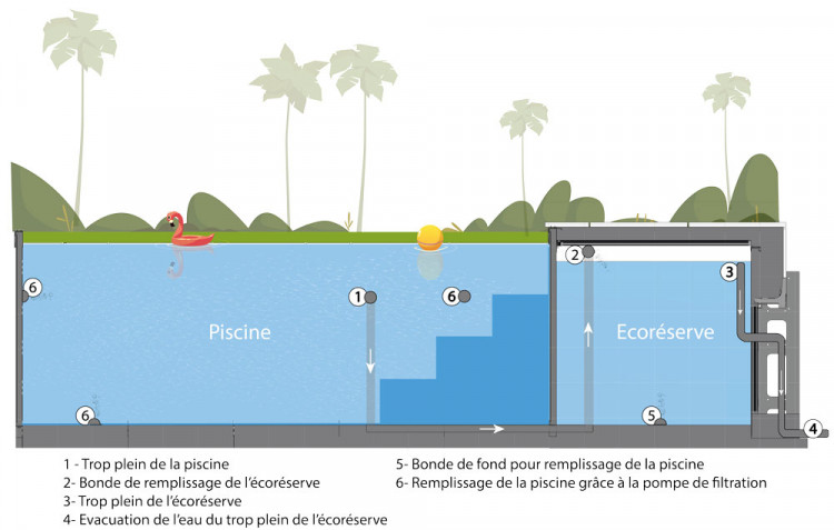 Sch&eacute;ma de la structure d'une piscine avec l'Ecor&eacute;serve Caron Piscines
