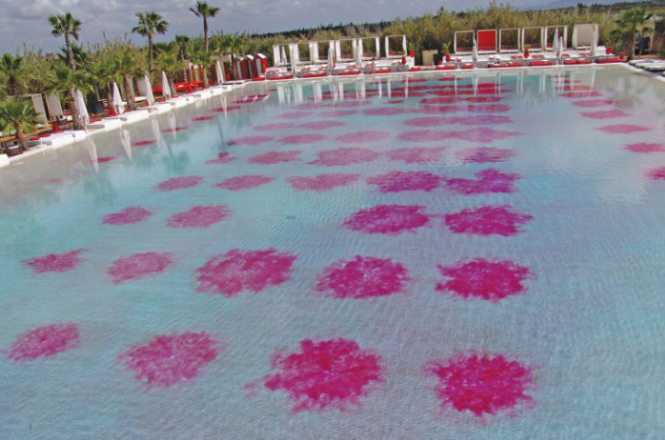 colorant Aquacouleur Gaches Chimie d&eacute;fauts d'hydraulicit&eacute;s piscine