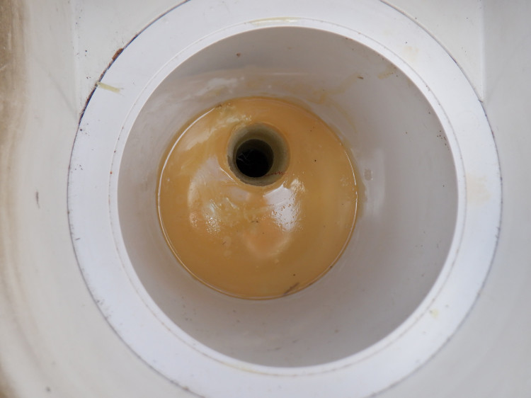 skimmer après chemisage du fond skimmer après chemisage du fond Locamex