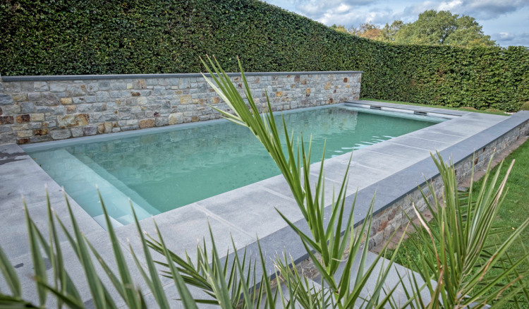  Piscine dot&eacute;e du syst&egrave;me de traitement biomin&eacute;ral VITII