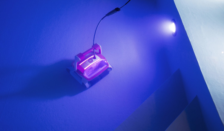 Les robots piscine BWT de la ligne D &eacute;clairage leds rose