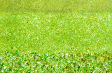 AFM&reg;, materiale filtrante economico e sostenibile di Dryden Aqua