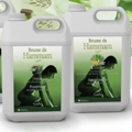 CAMYLLE : Animez votre espace sauna ou hammam&nbsp;!