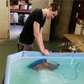 Des r&eacute;parateurs de robots de piscine exp&eacute;riment&eacute;s