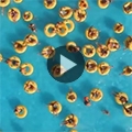 CCEI svela in un video qual &egrave; la sua forza
