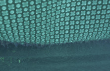 OXO Preserve, the eco-friendly bubble film for pools 