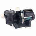 Pompa per piscine IntelliFlo&reg; con VSD Drive