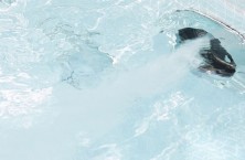 Jet Swim di Palh&eacute;n, unit&agrave; di nuoto controcorrente esclusive e potenti