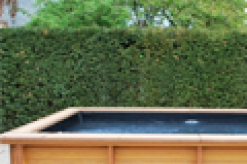 wood,line,piscines,bois,exotique,hors,sol