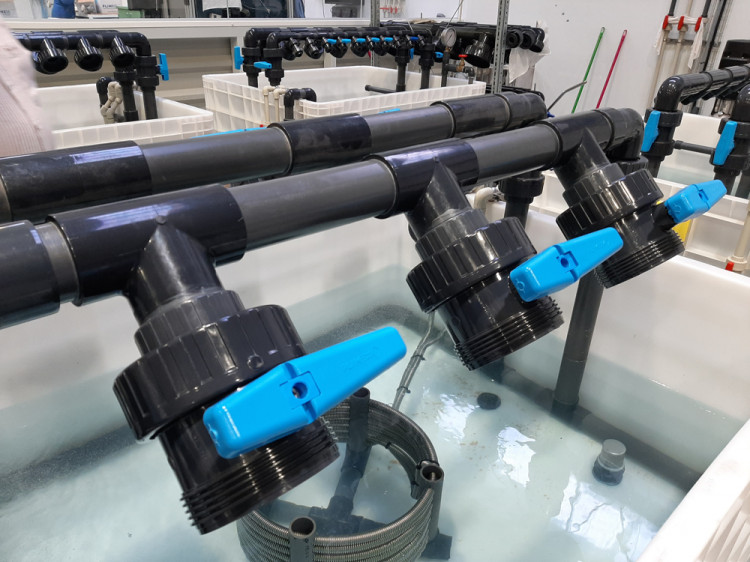 Vannes PVC Plimex test&eacute;es en usine