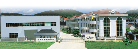 Darlly se d&Atilde;&copy;veloppe en Europe