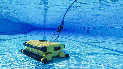 Dolphin Wave 300 XL