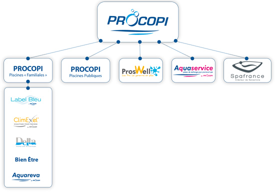 Procopi organigramme des marques