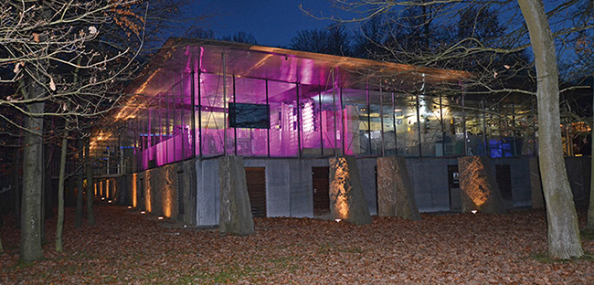 Si&Atilde;&uml;ge social RIIOT LABS